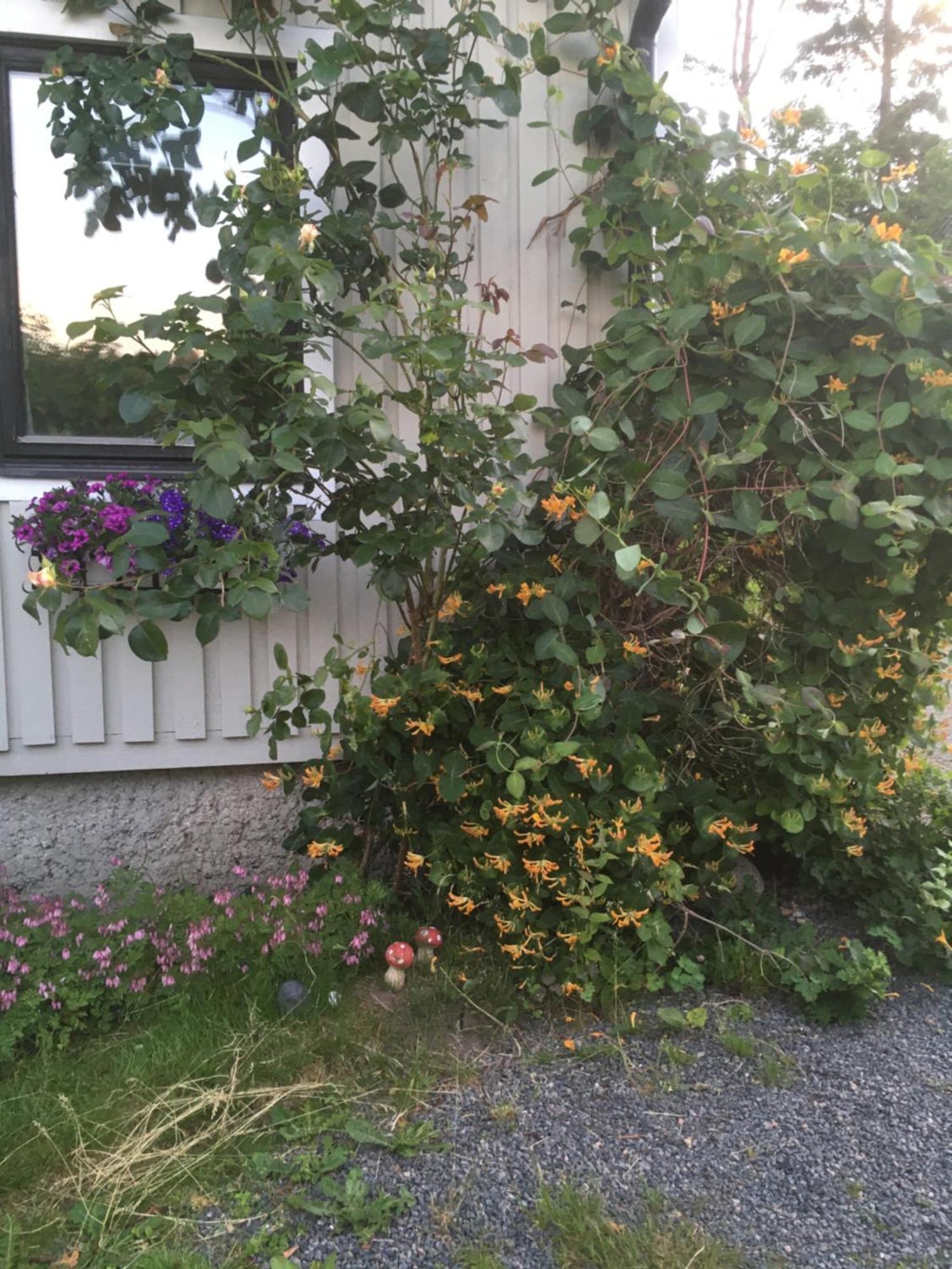 Airbnbekasberg Olofstorp Zewnętrze zdjęcie