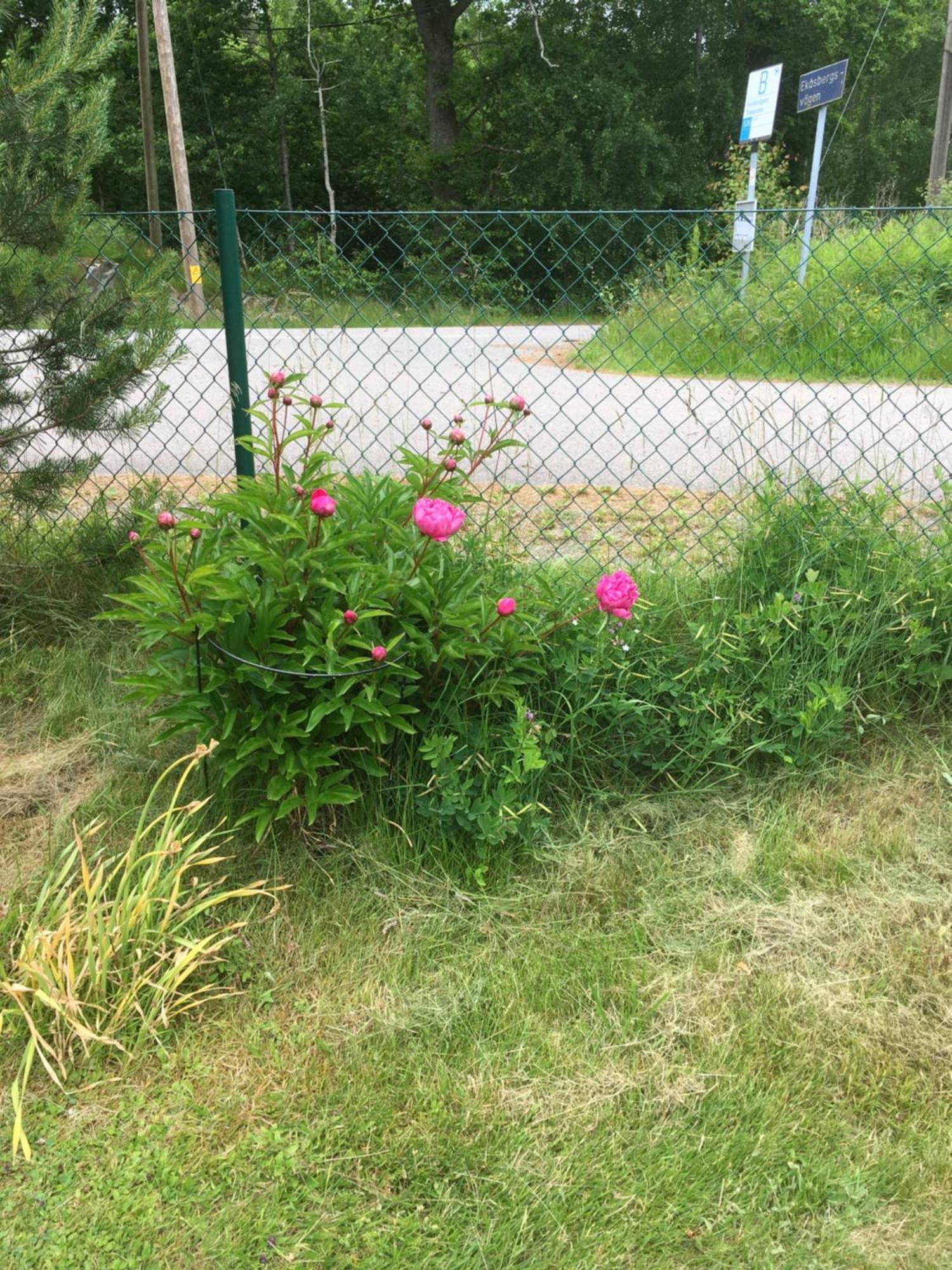 Airbnbekasberg Olofstorp Zewnętrze zdjęcie