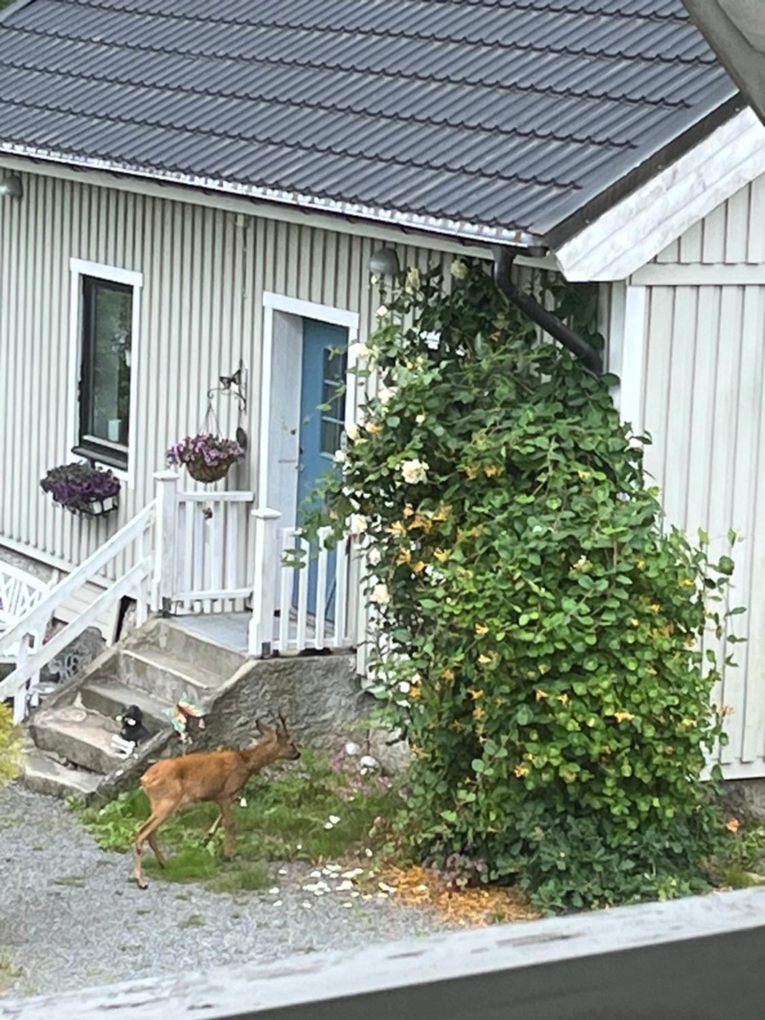 Airbnbekasberg Olofstorp Zewnętrze zdjęcie